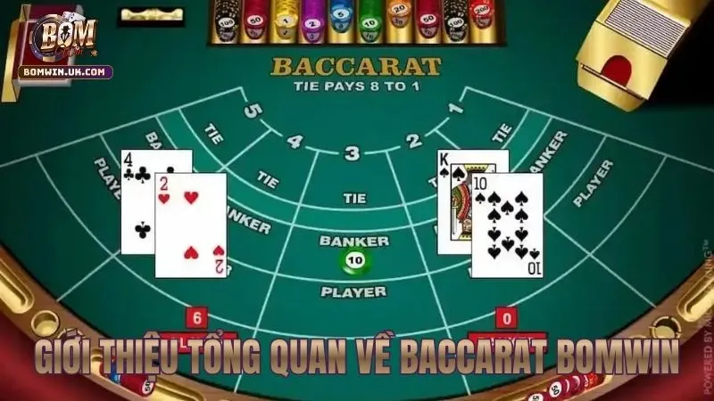 Giới thiệu sảnh cược Baccarat đẳng cấp quốc tế tại BOMWIN